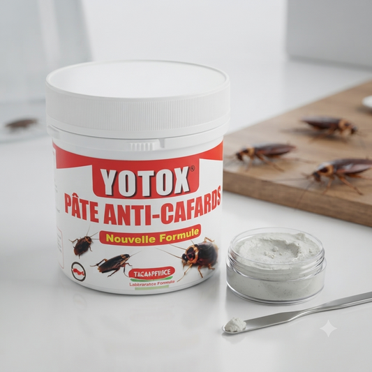 Yotox pate anti-cafards